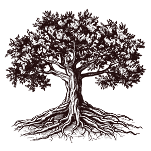 druid oak tree